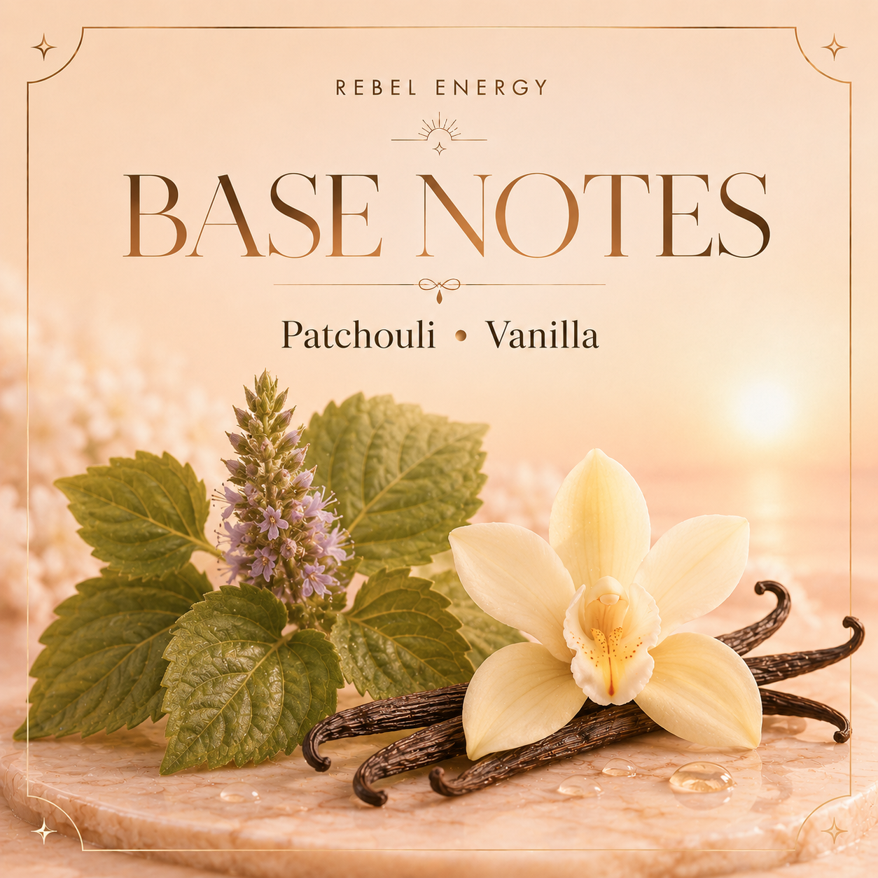 Patchouli and vanilla base notes in Rebel Energy
